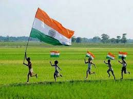 Tiranga Flag